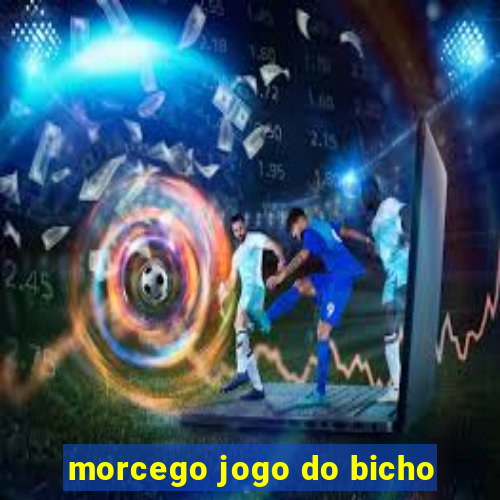 morcego jogo do bicho